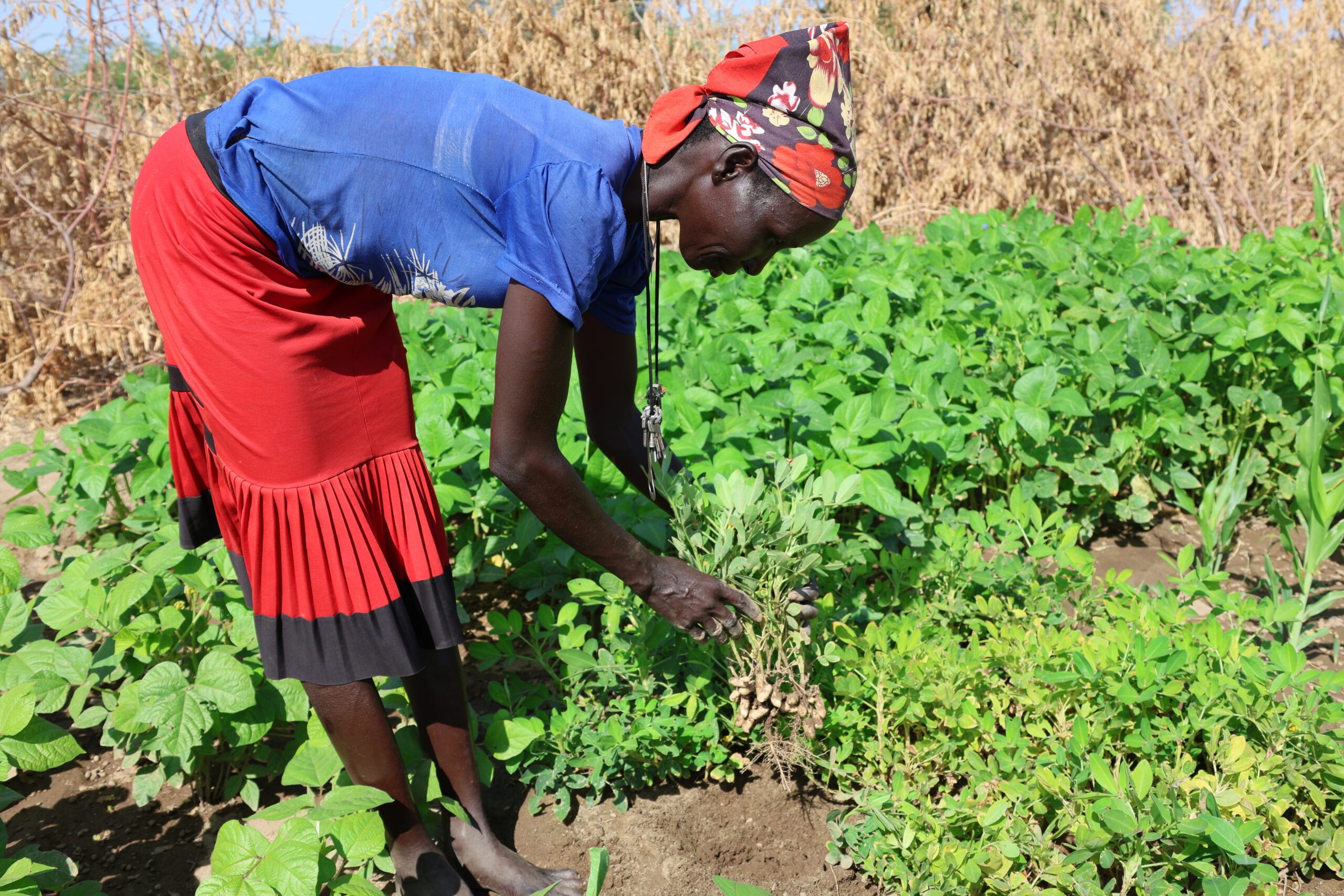 A farmer in Kalokodo Farm